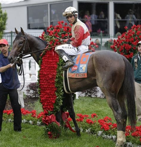 winning horses today.